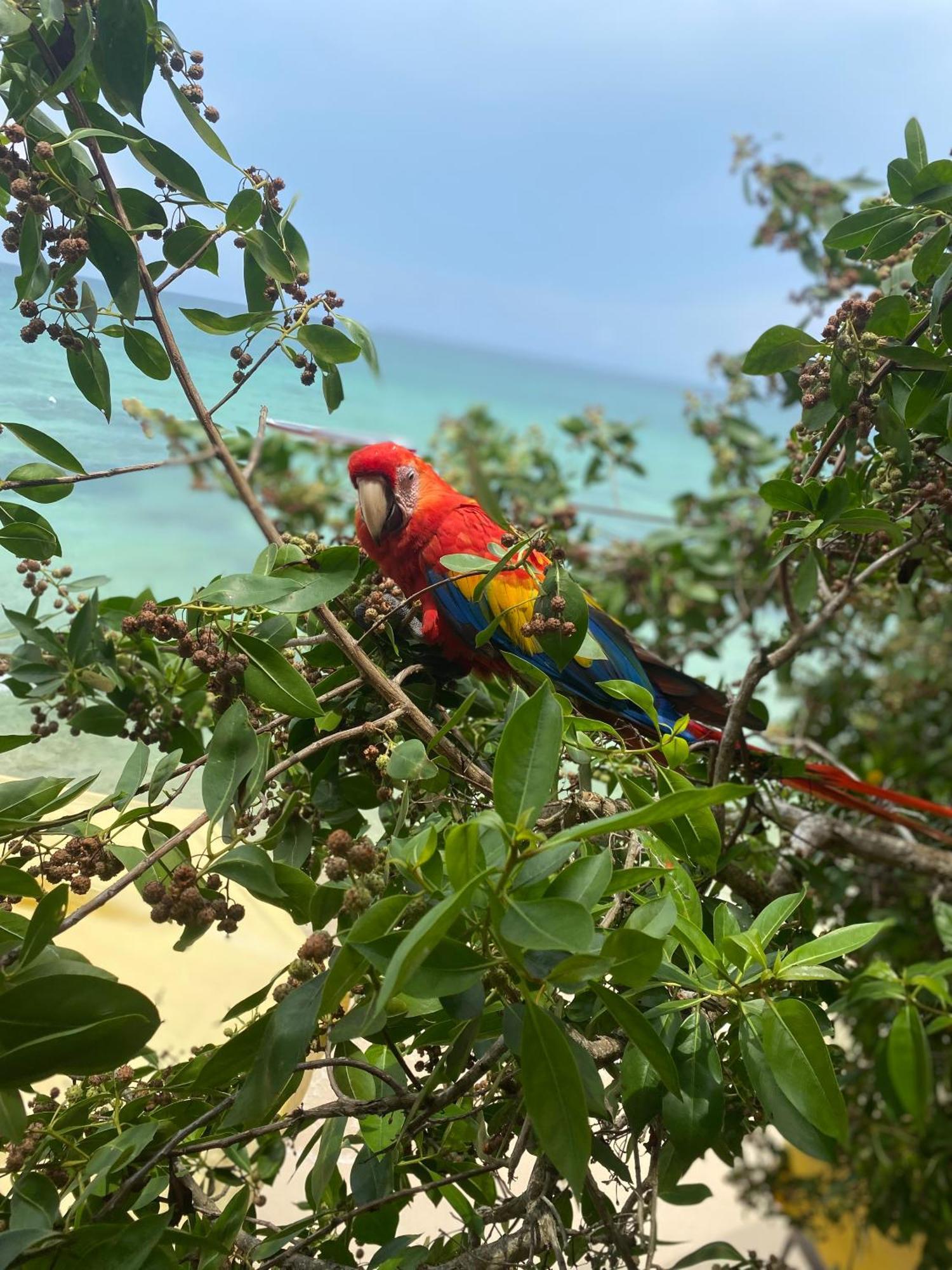 Posada Shekinah Baru Playa Blanca Exteriér fotografie